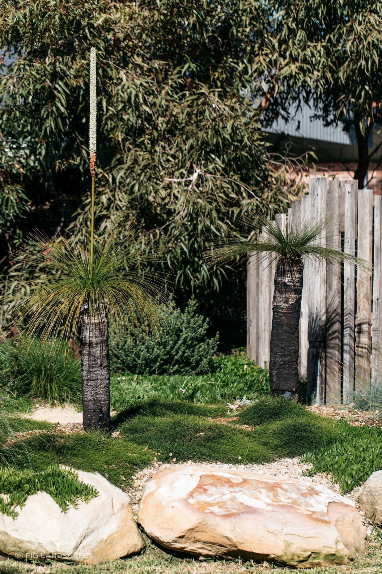 Exotic-Nurseries-Woolooware-10-2.jpg