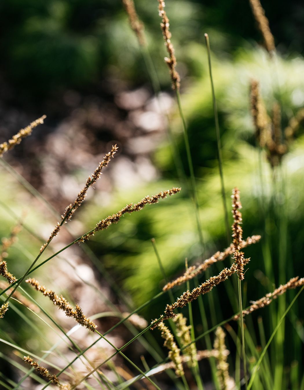 Exotic-Nurseries-Woolooware-4-2.jpg