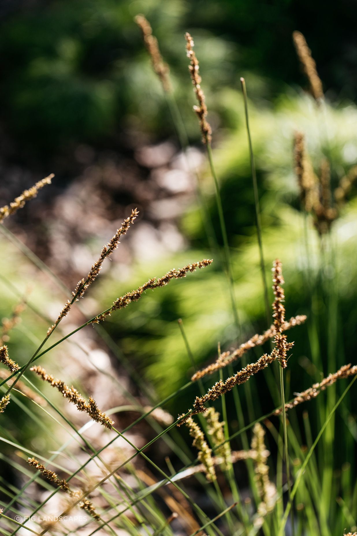 Exotic-Nurseries-Woolooware-4-2.jpg