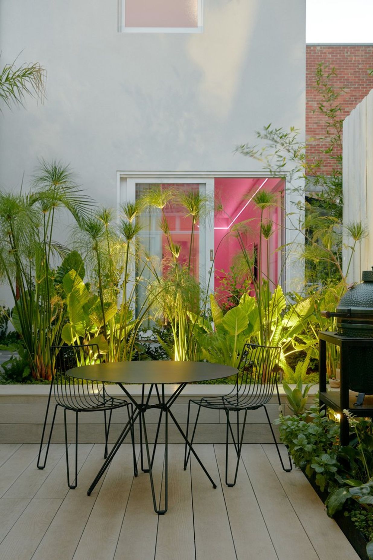 Cyperus Garden