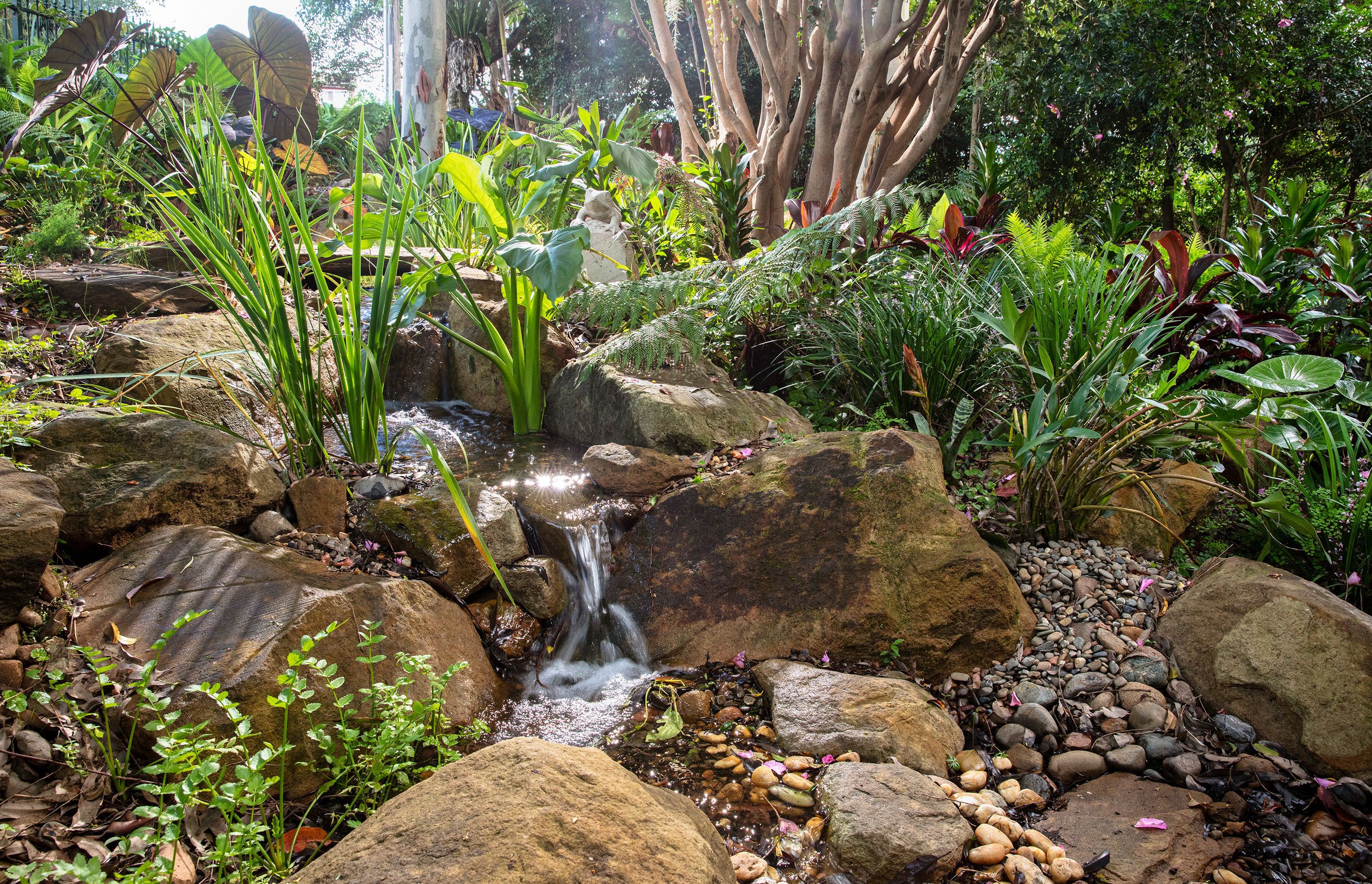 Forest Creek
