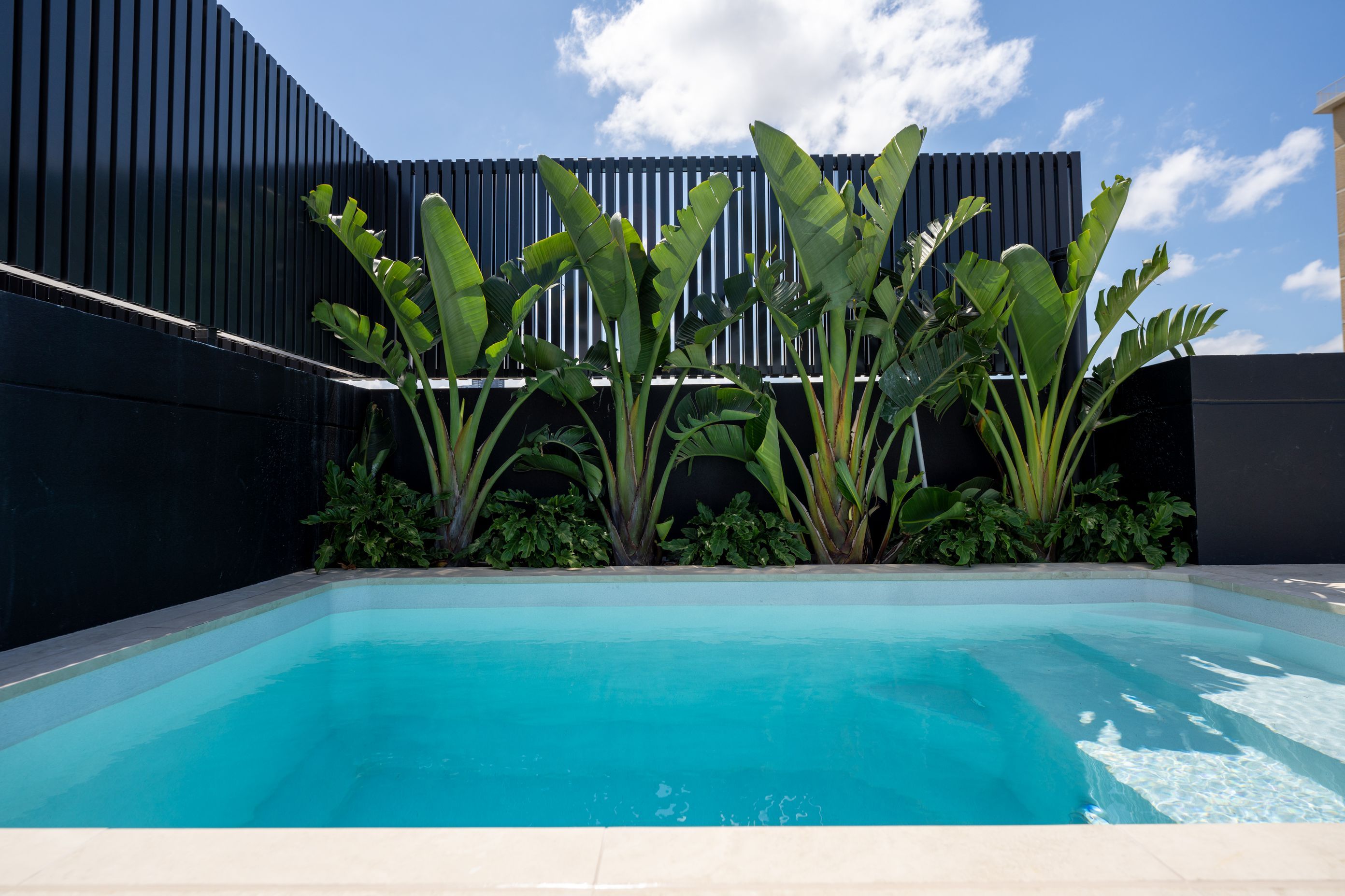 Maison Rooftop