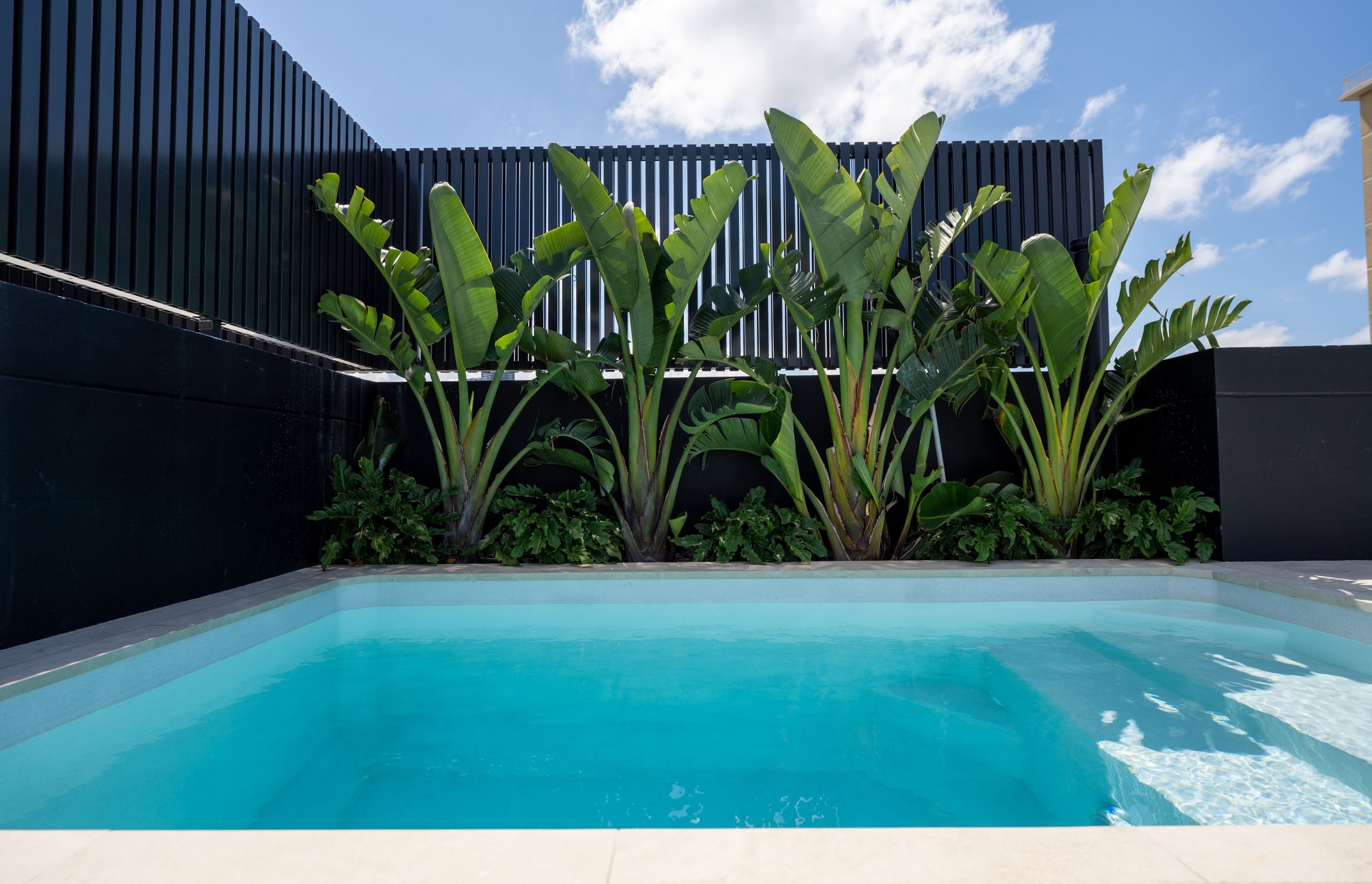 Maison Rooftop