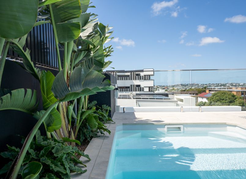 Maison Rooftop