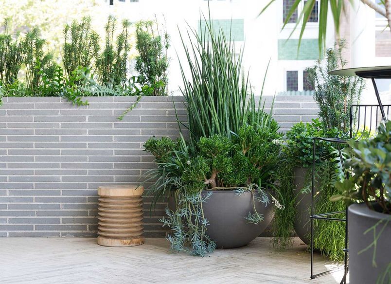 Potts Point Courtyard