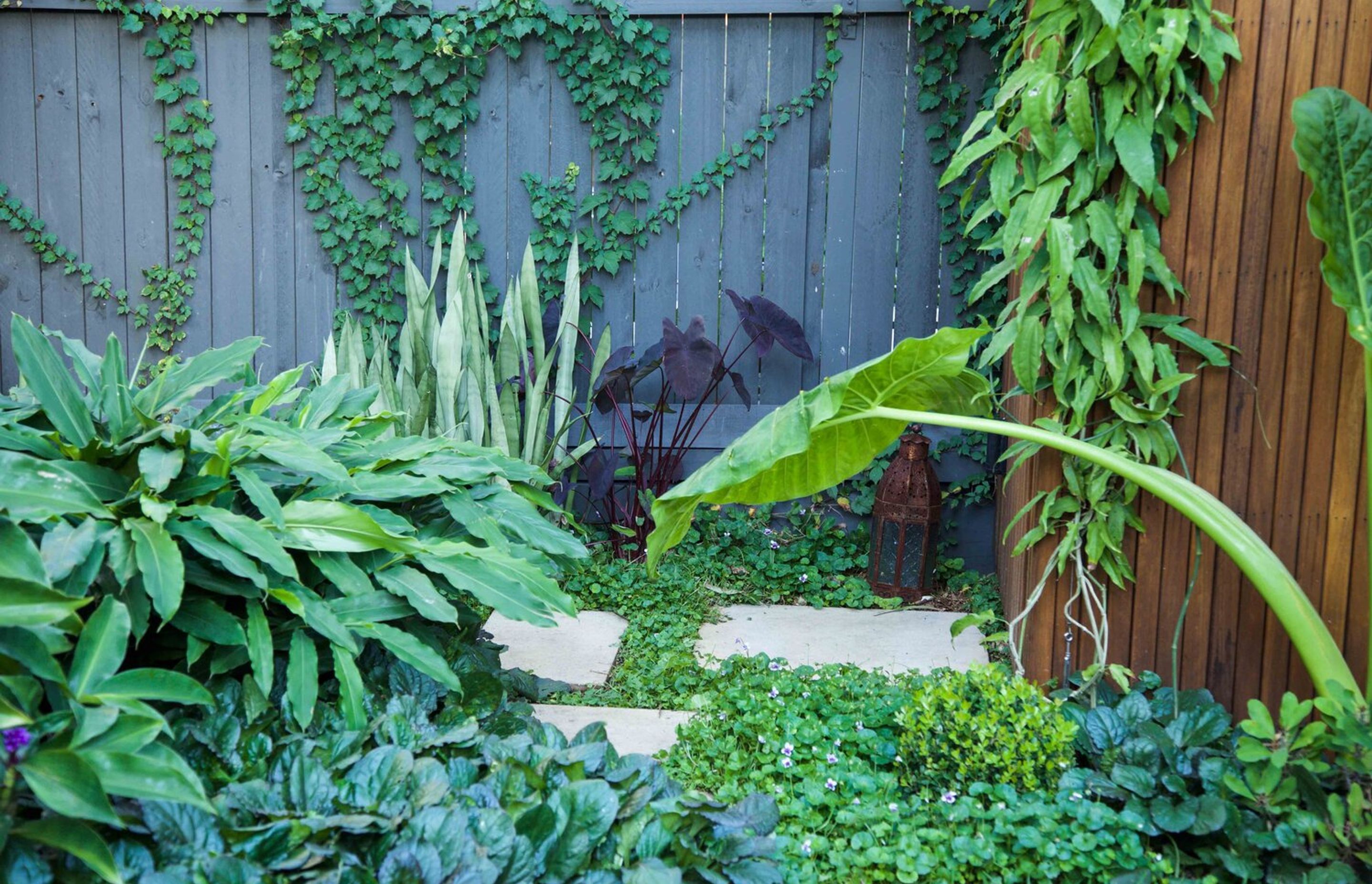 Plunge Garden