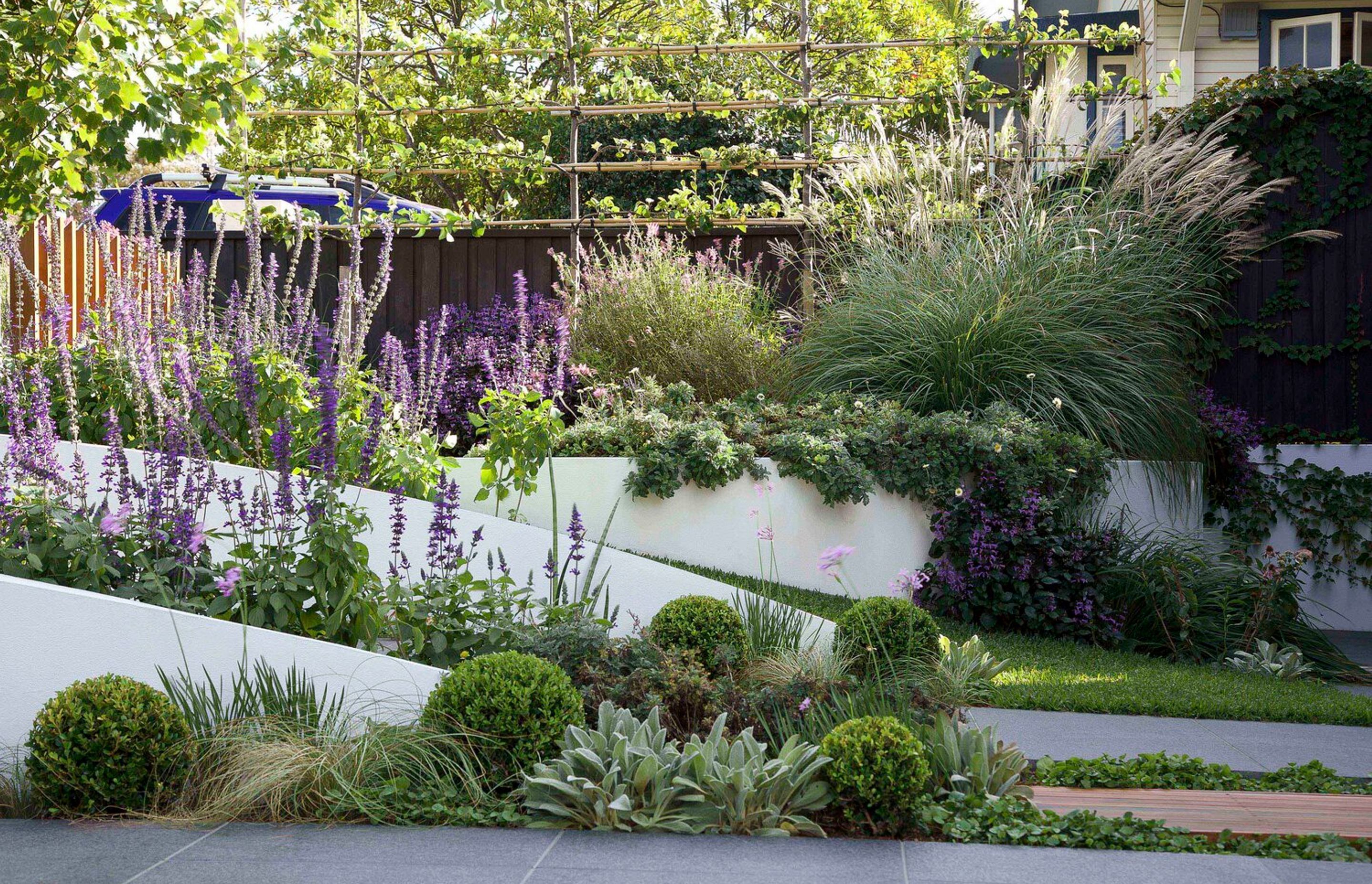 Glenn's Garden