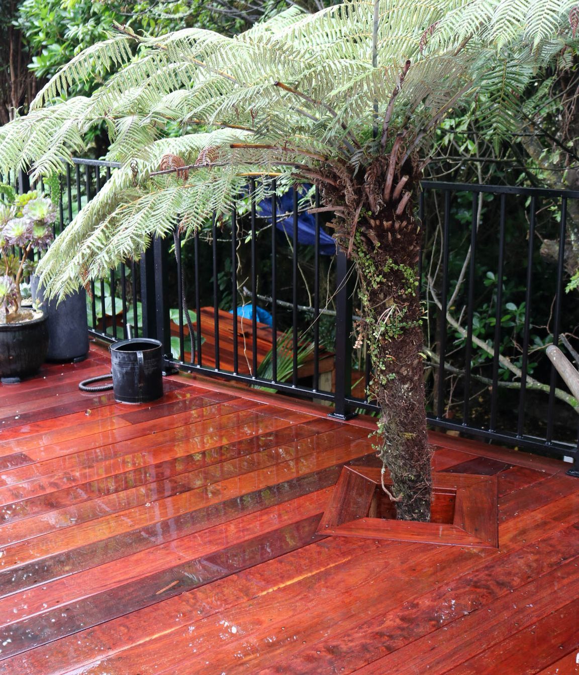 George-Construction-Eastbourne-Deck-8.jpg