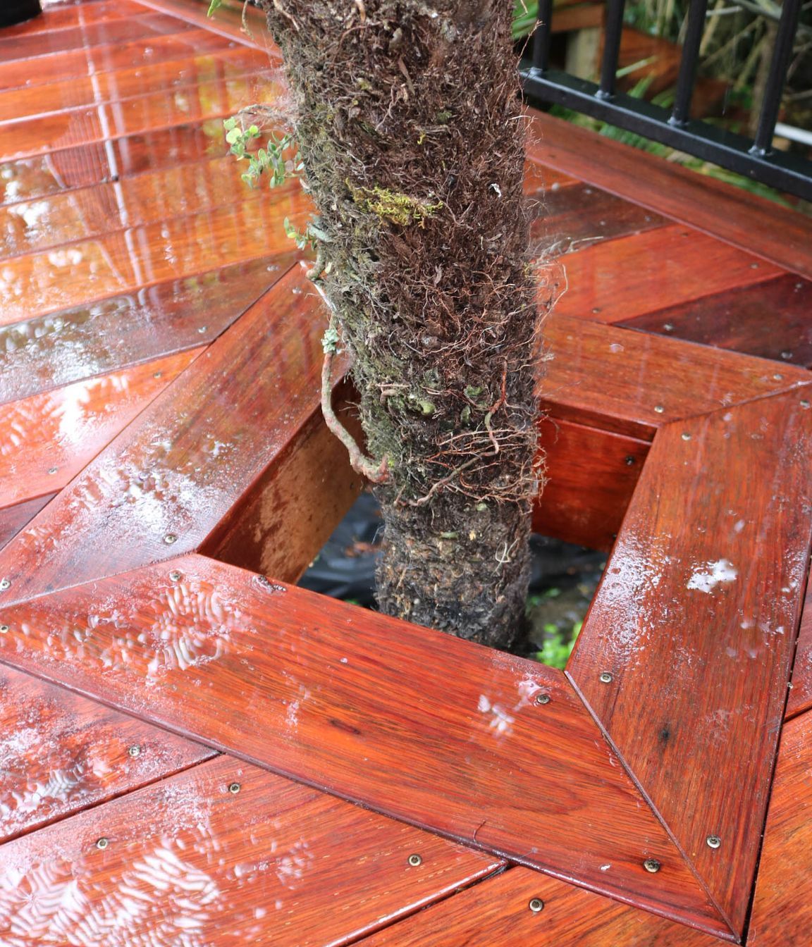 George-Construction-Eastbourne-Deck-9.jpg