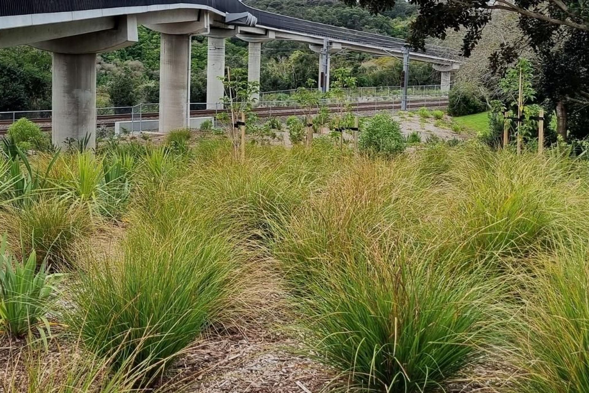 Glen Innes to East Tamaki