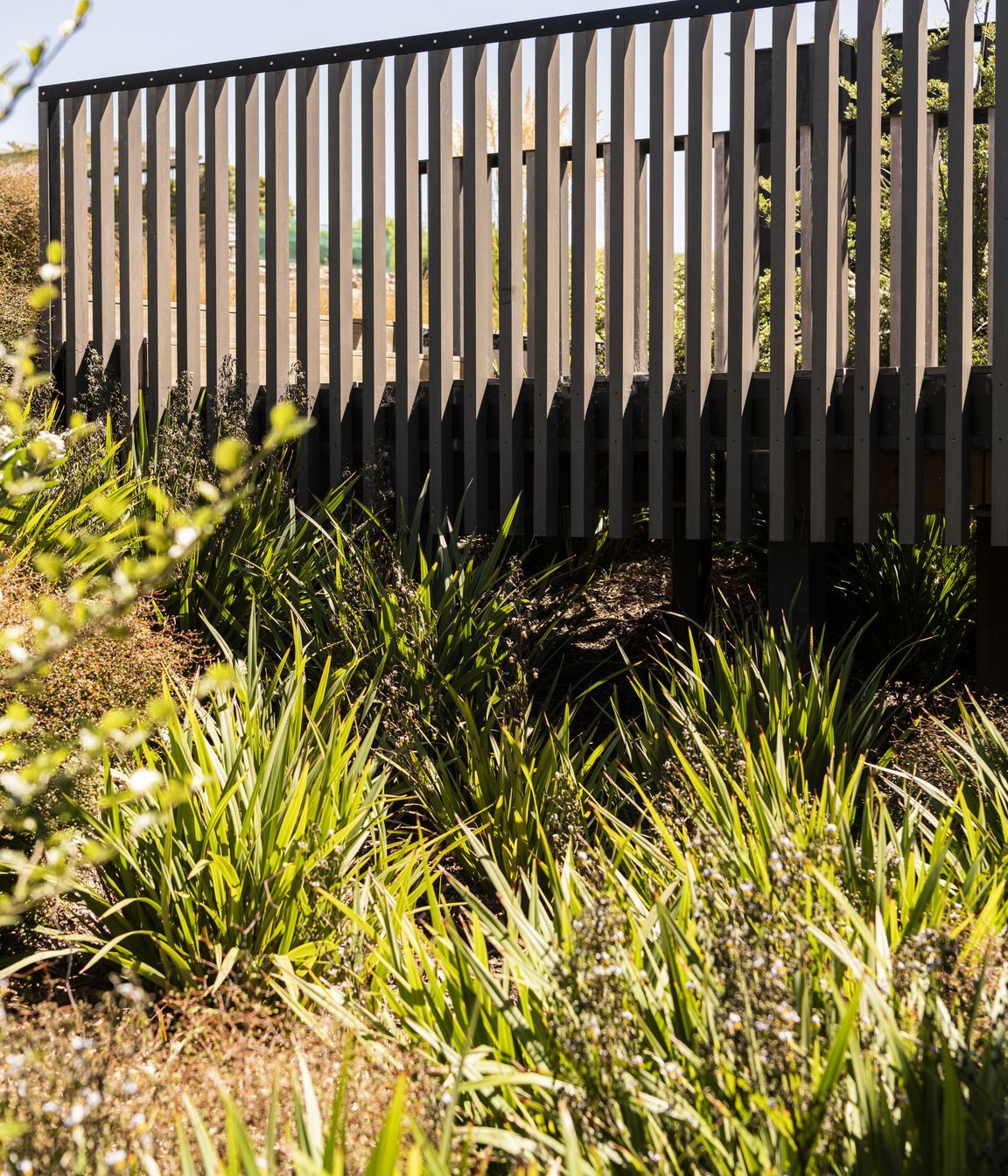 Moncks Bay Garden