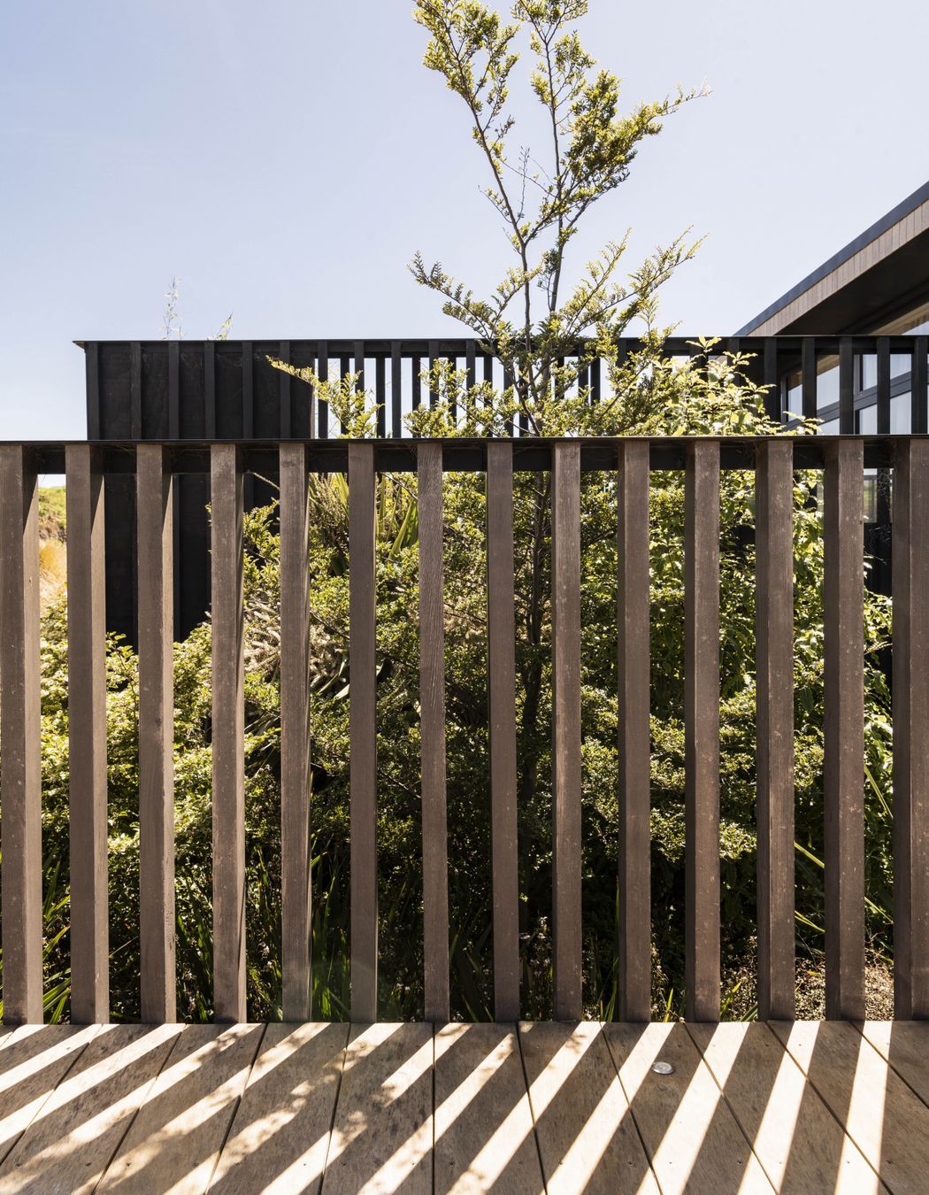 Moncks Bay Garden