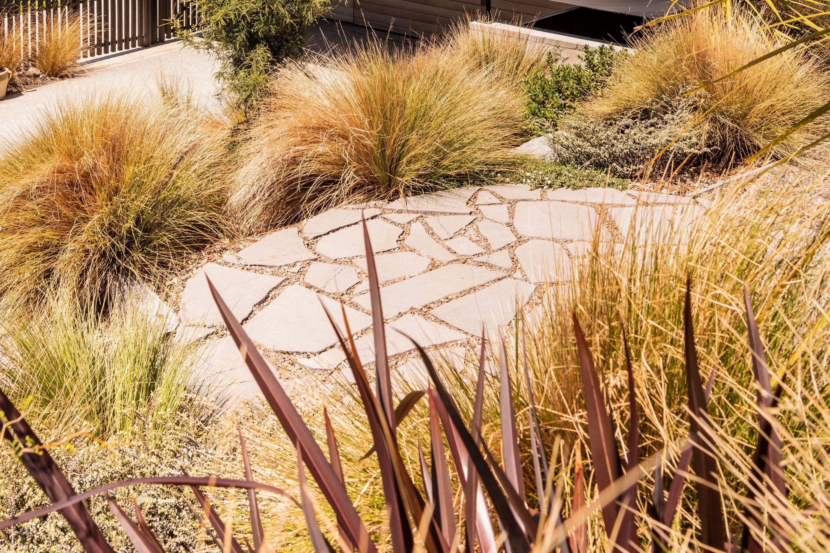 Moncks Bay Garden