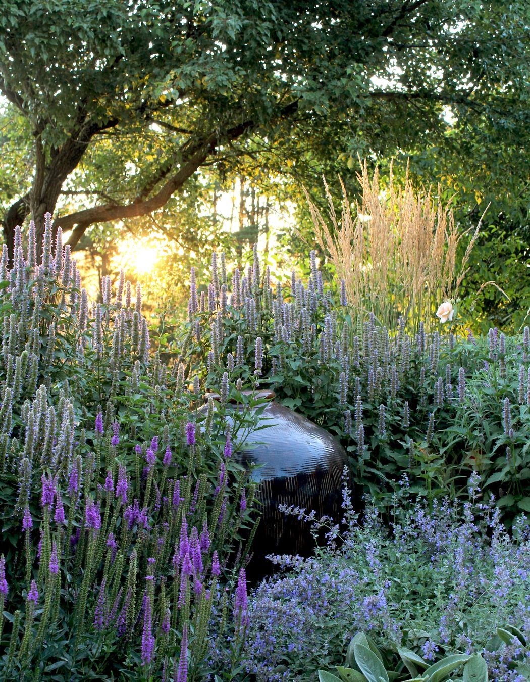 Photography: Bethany Williamson