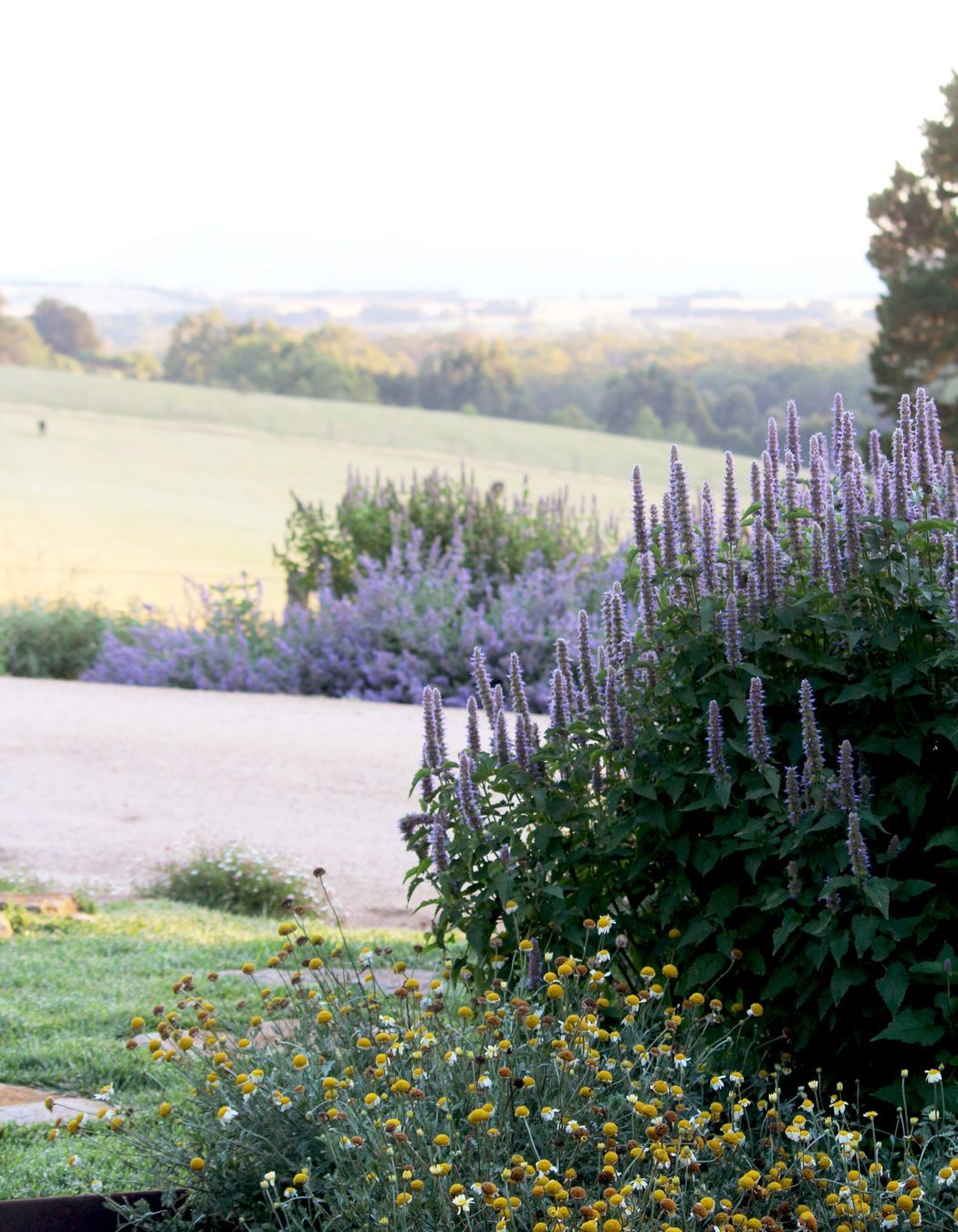 Photography: Bethany Williamson