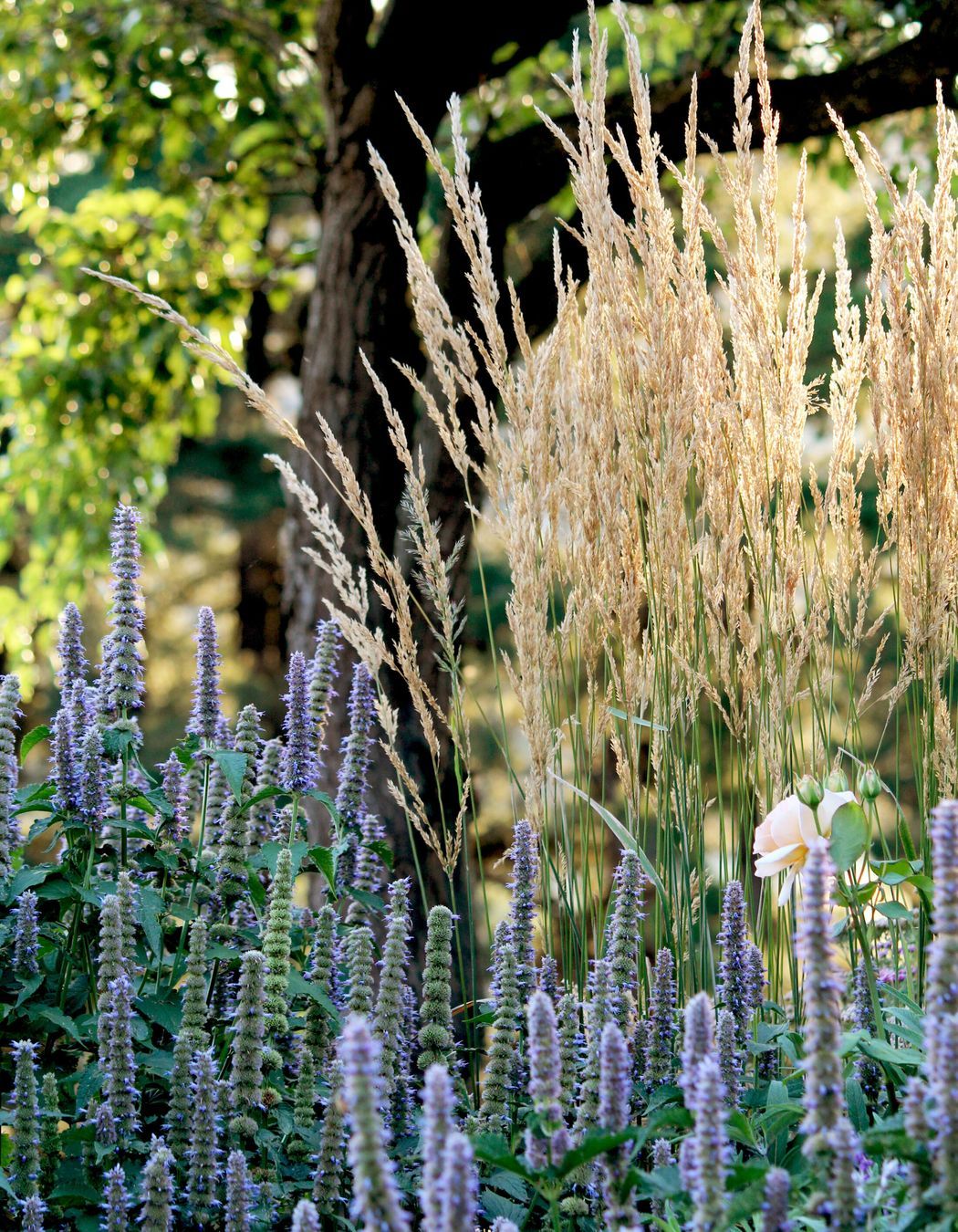 Photography: Bethany Williamson