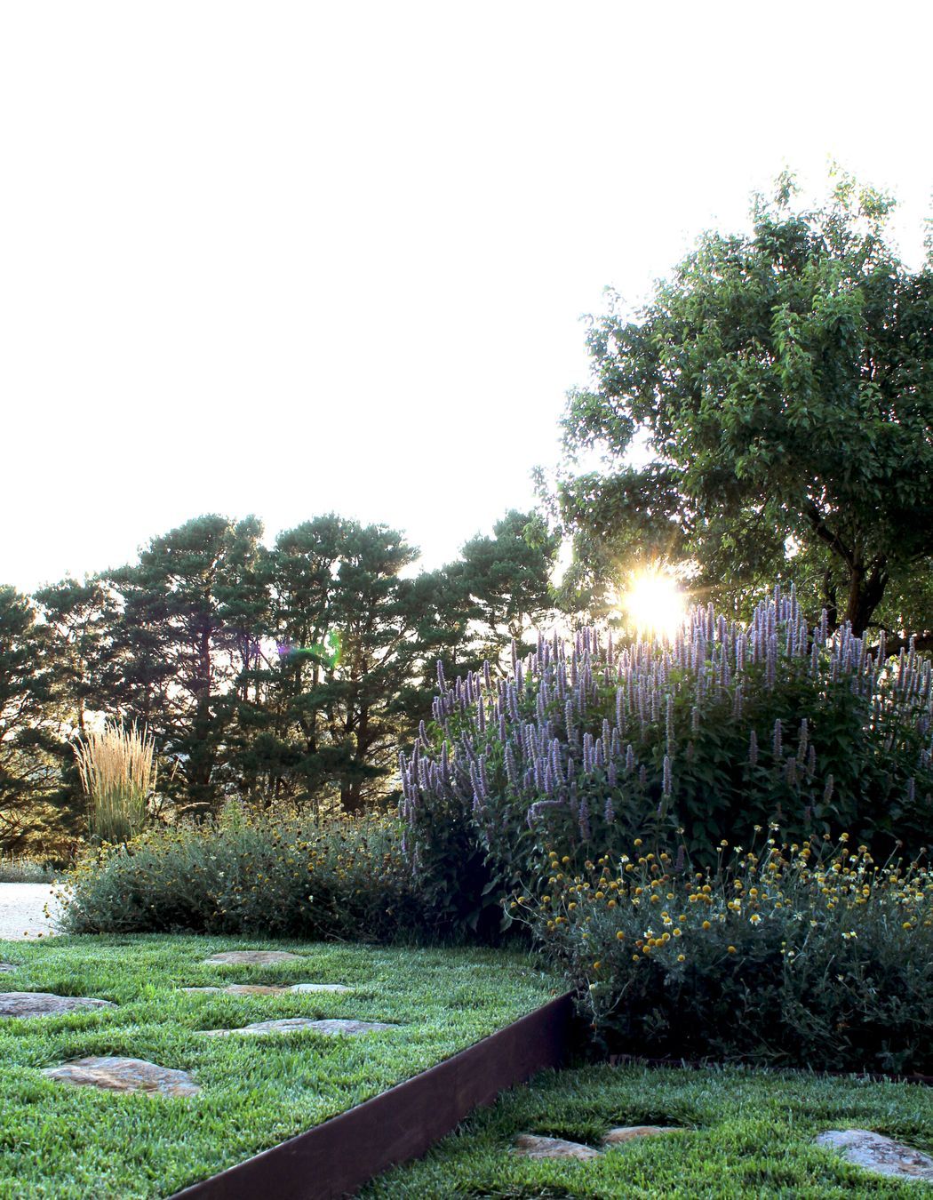 Photography: Bethany Williamson