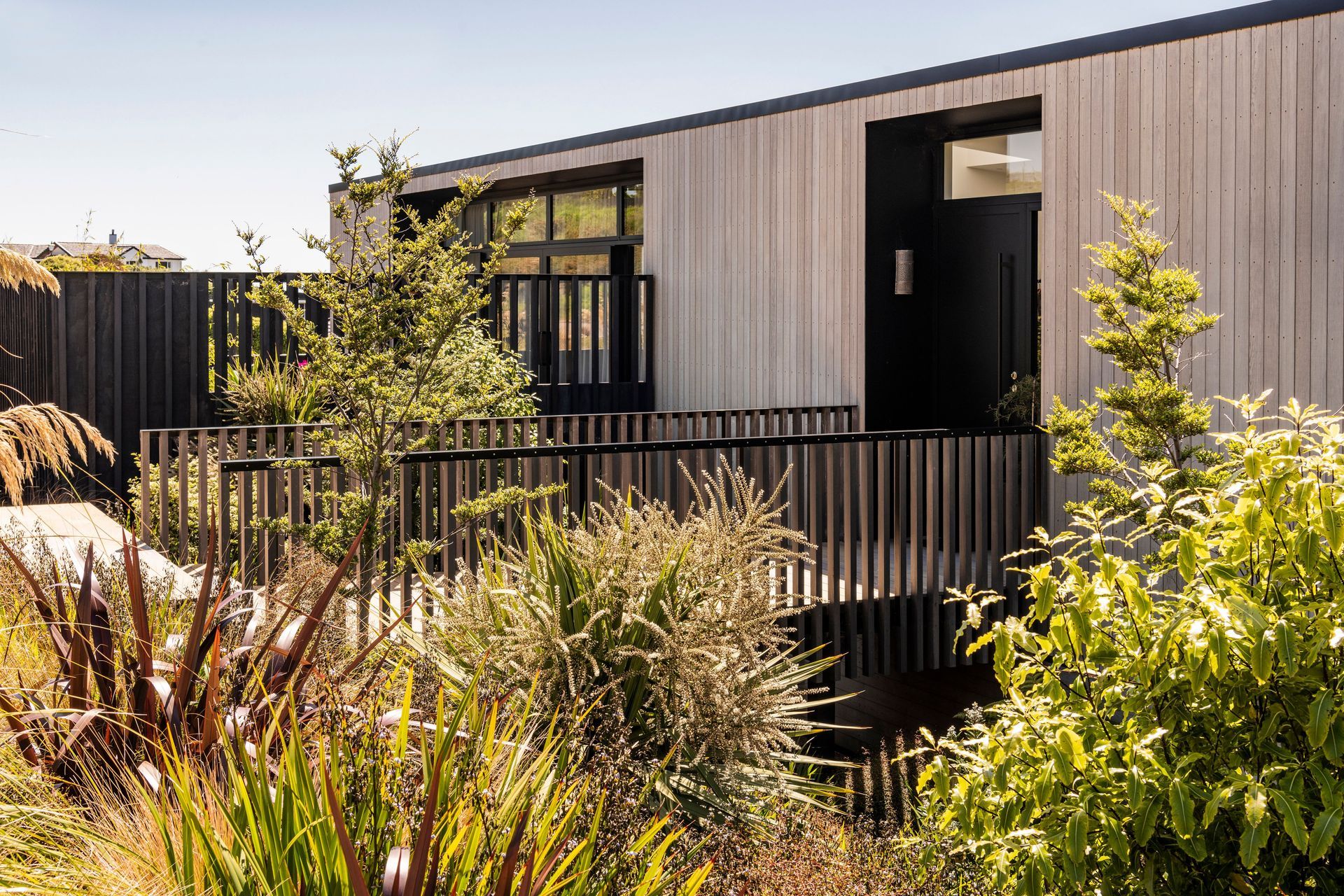 Native planting frames the elevated boardwalk entry into the house