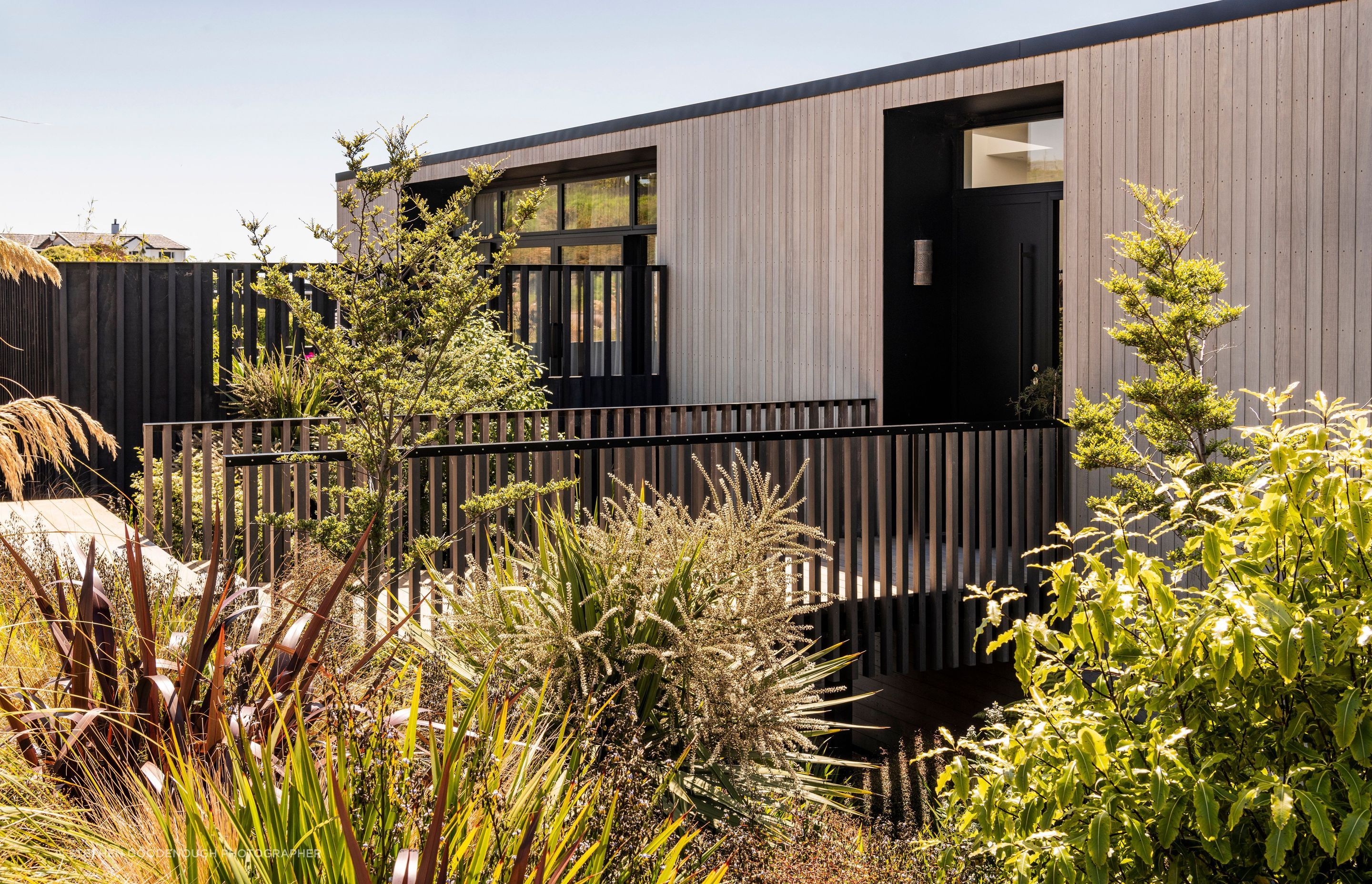 Native planting frames the elevated boardwalk entry into the house
