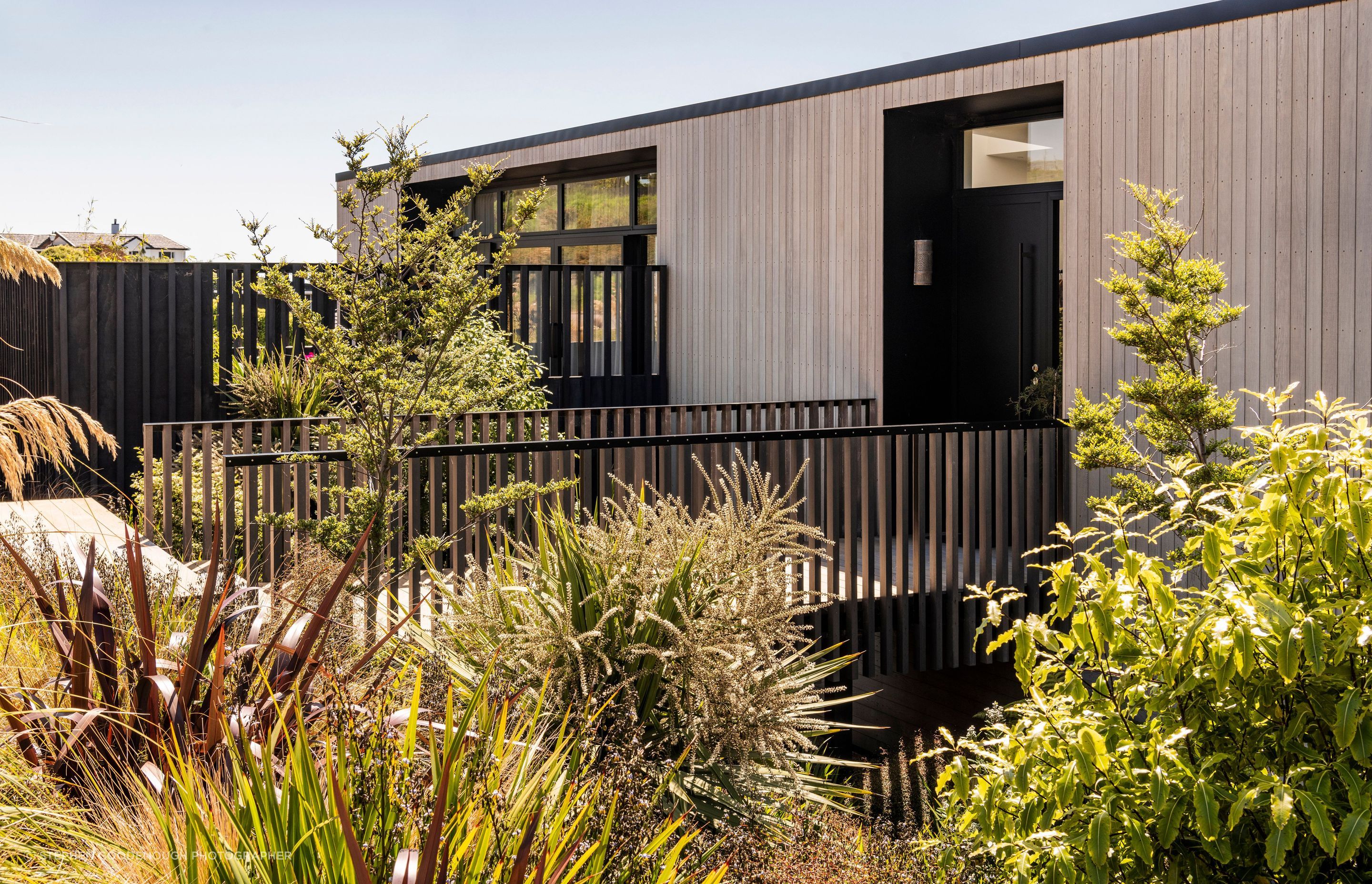 Native planting frames the elevated boardwalk entry into the house