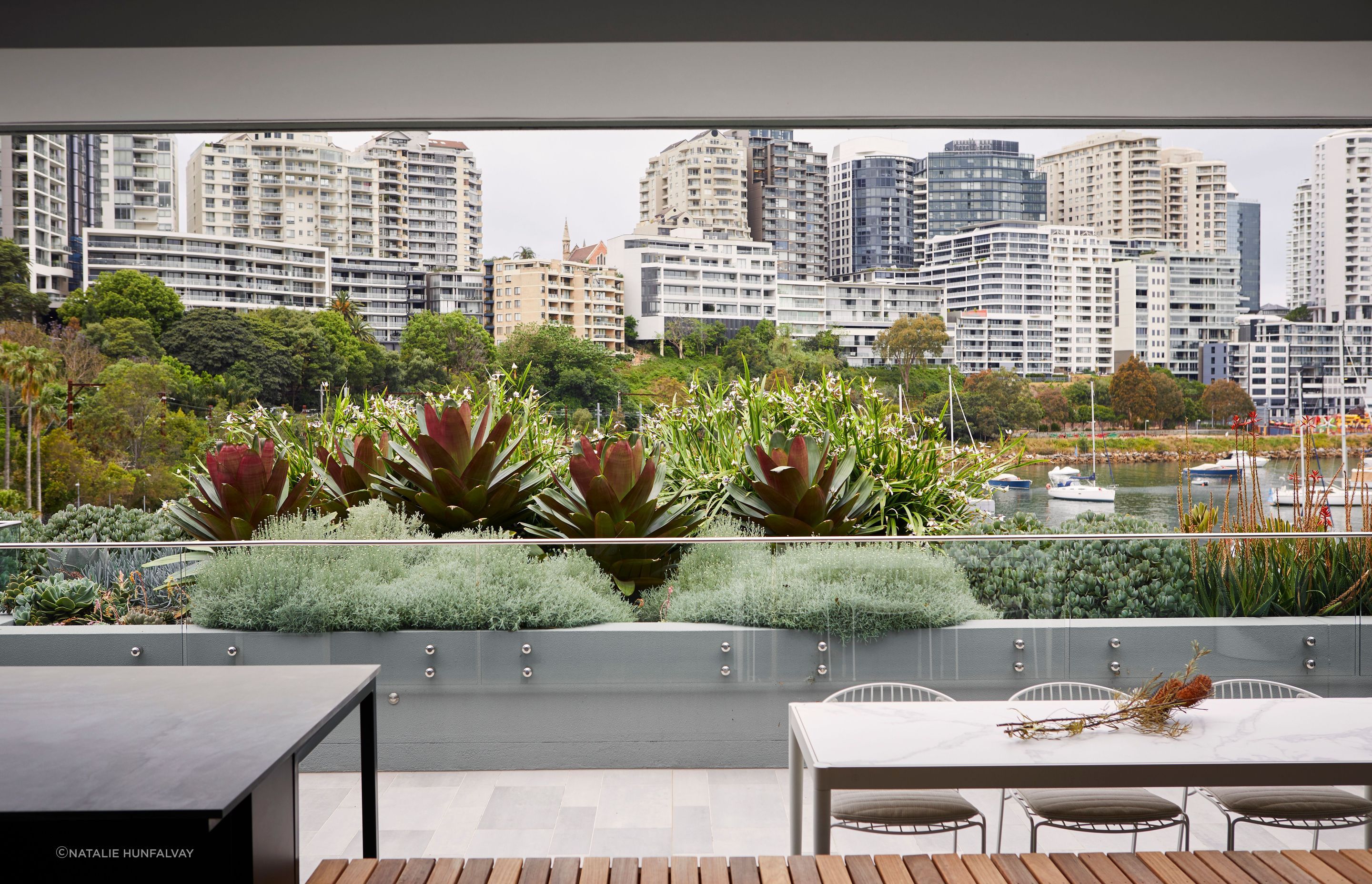 Lavender Bay