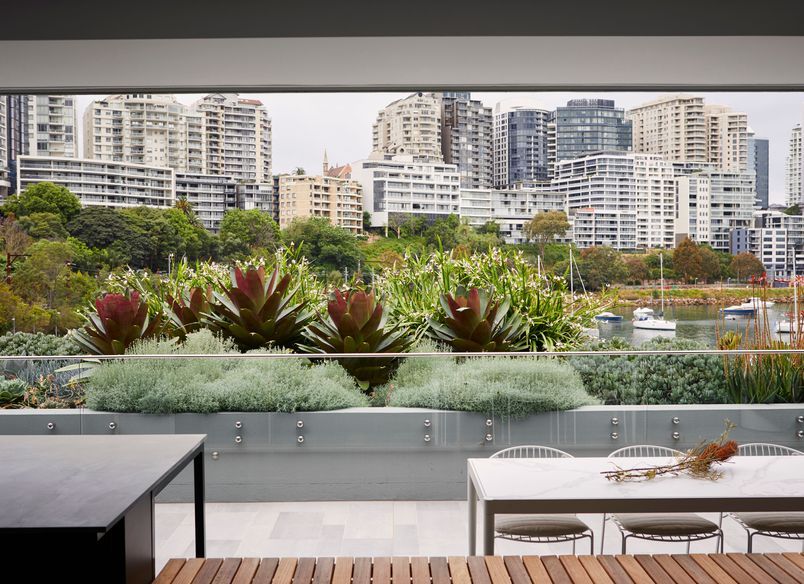 Lavender Bay