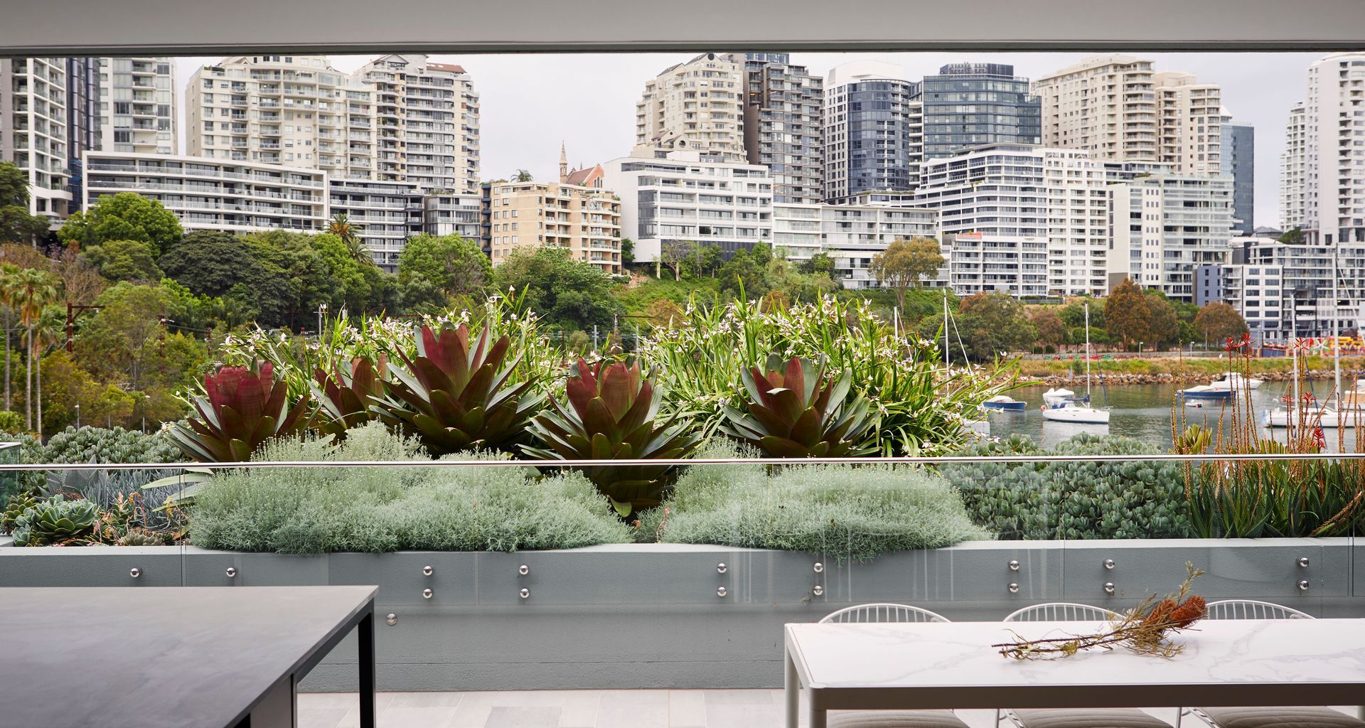 Lavender Bay banner