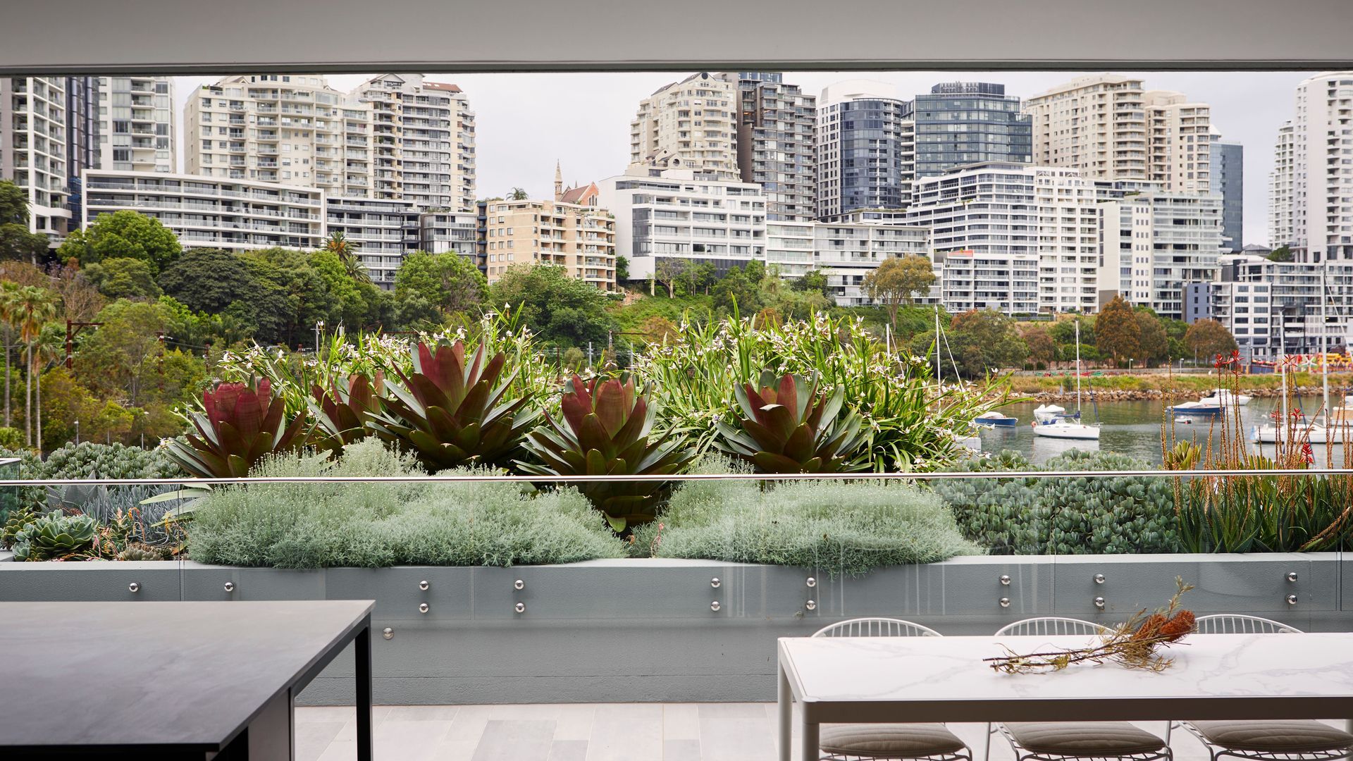 Lavender Bay banner
