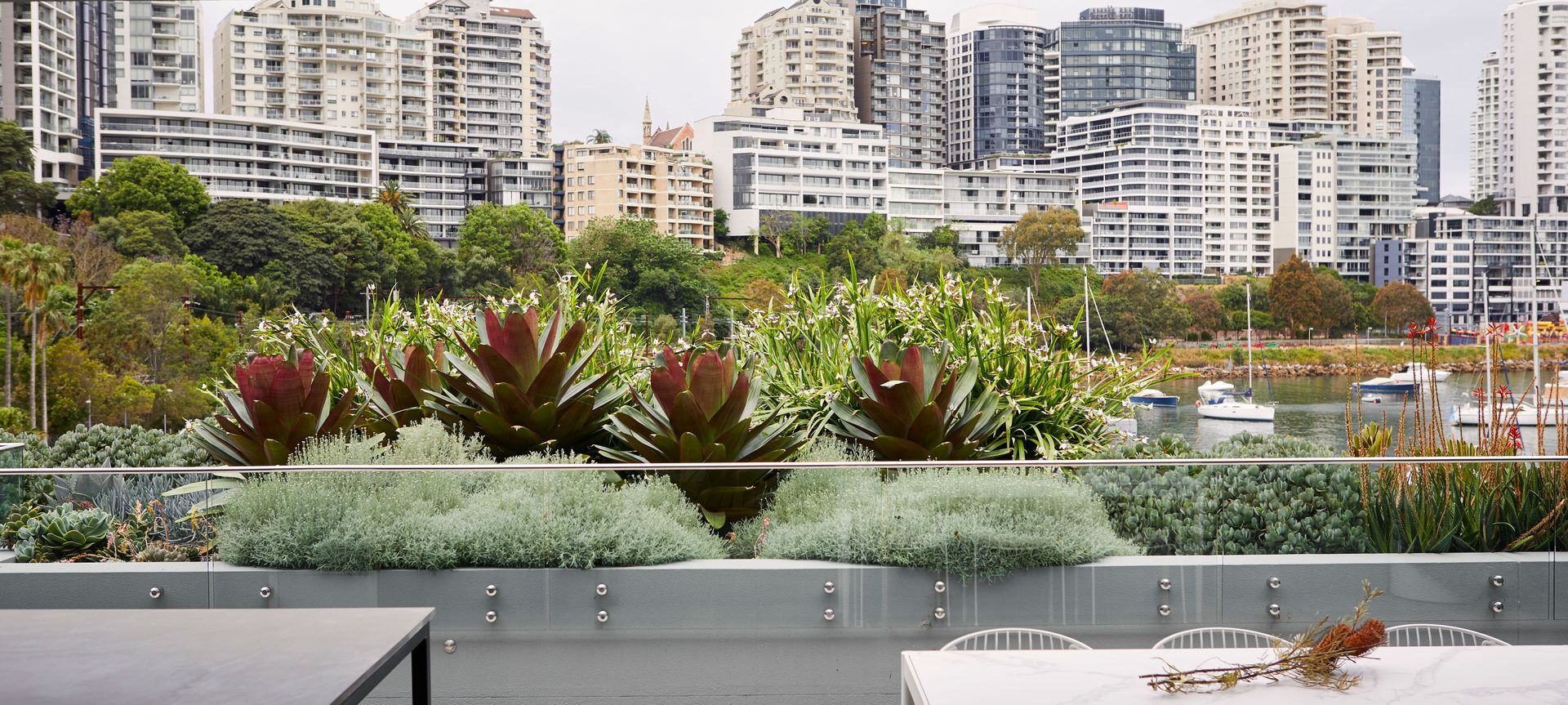 Lavender Bay banner