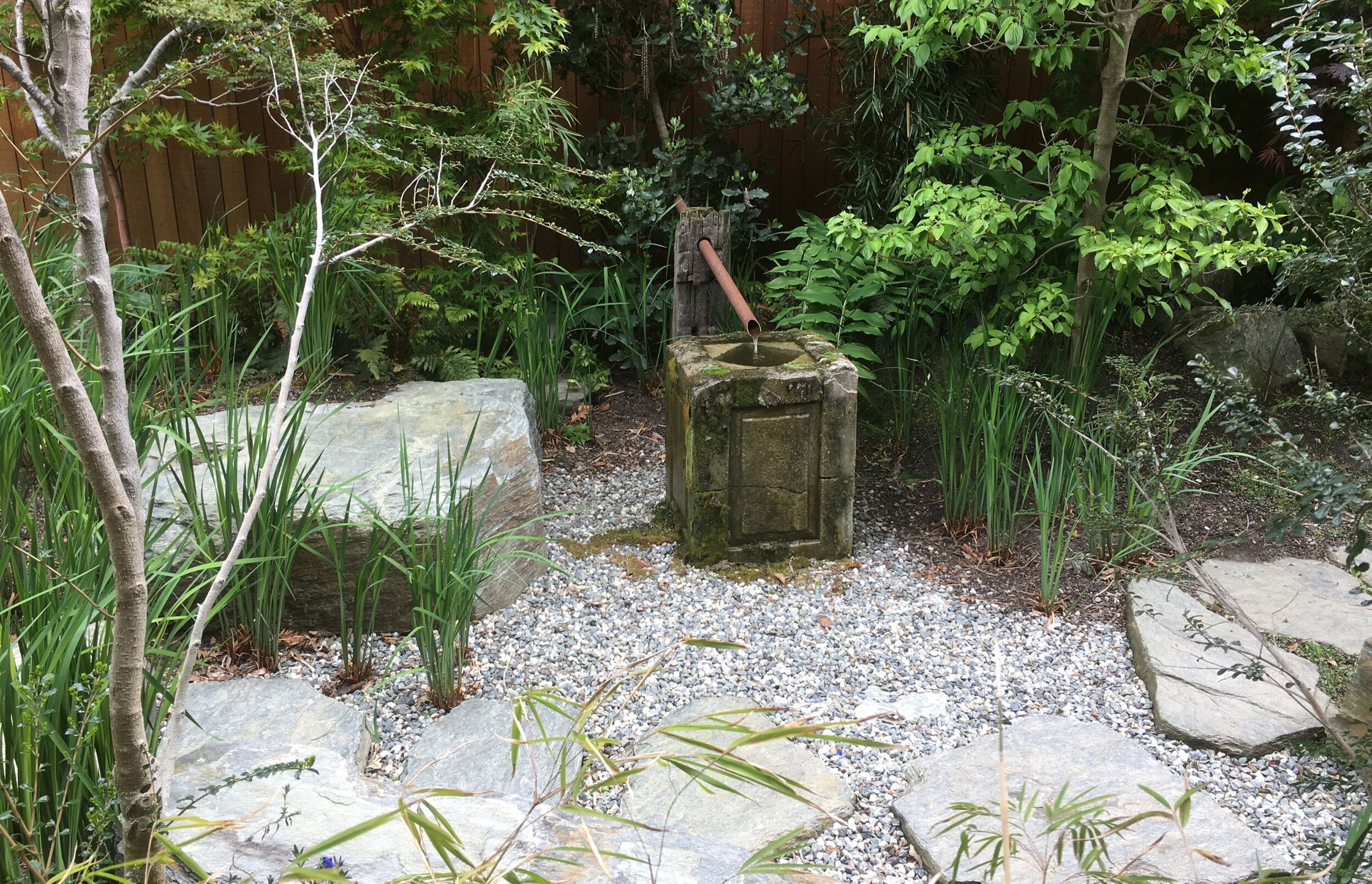 IMG-0474.jpg