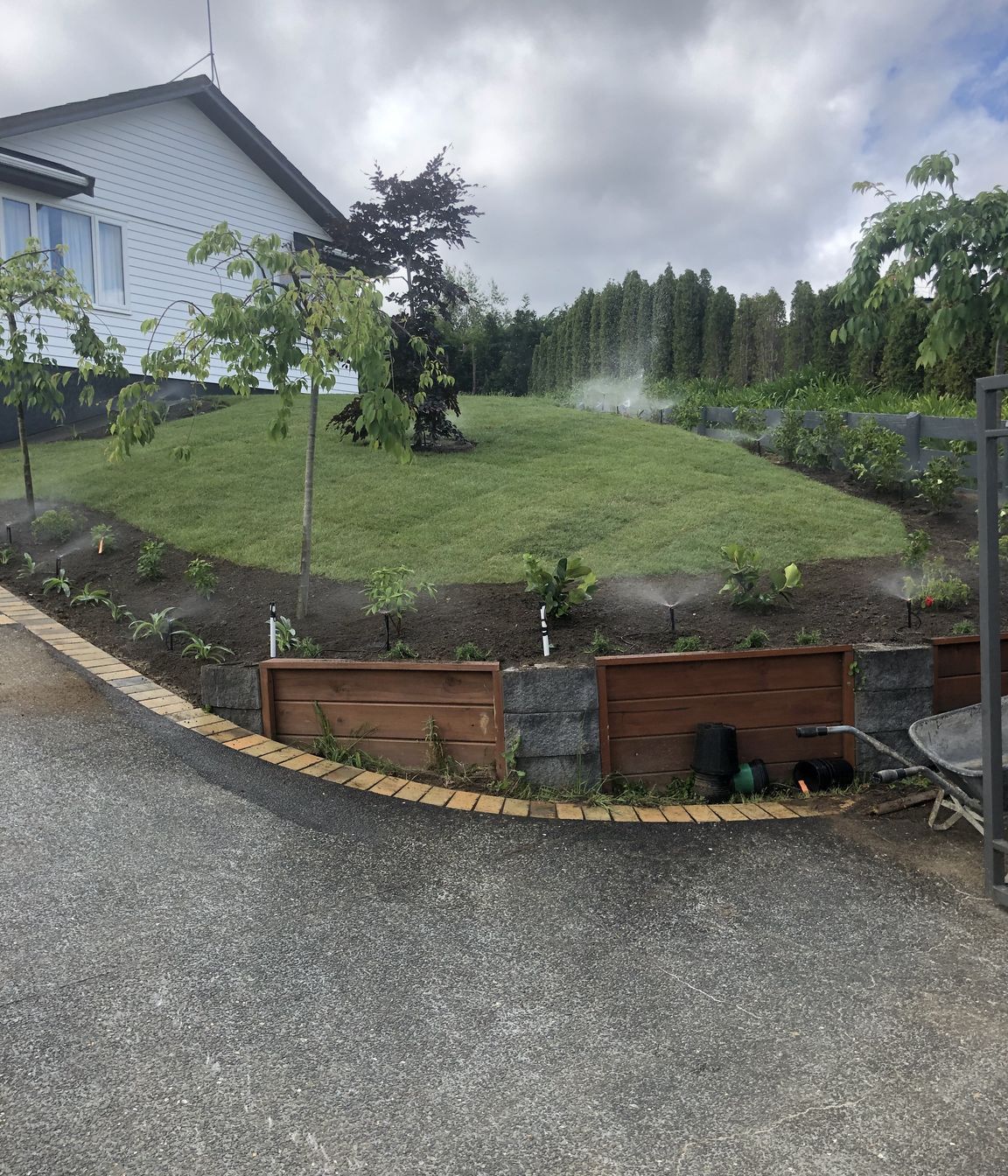 Lawns