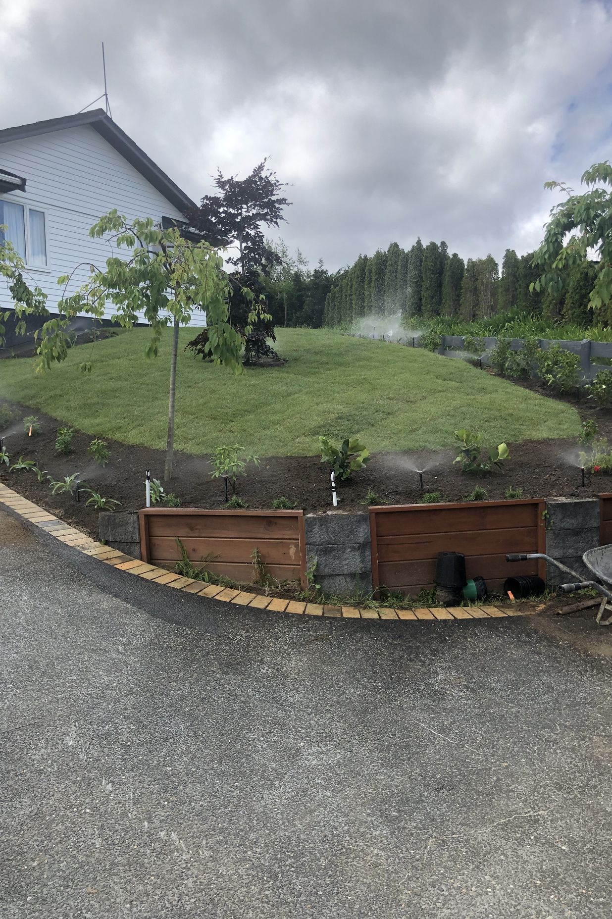 Lawns