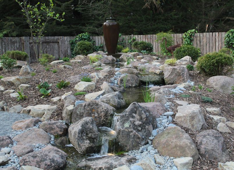 Pondless Paradise