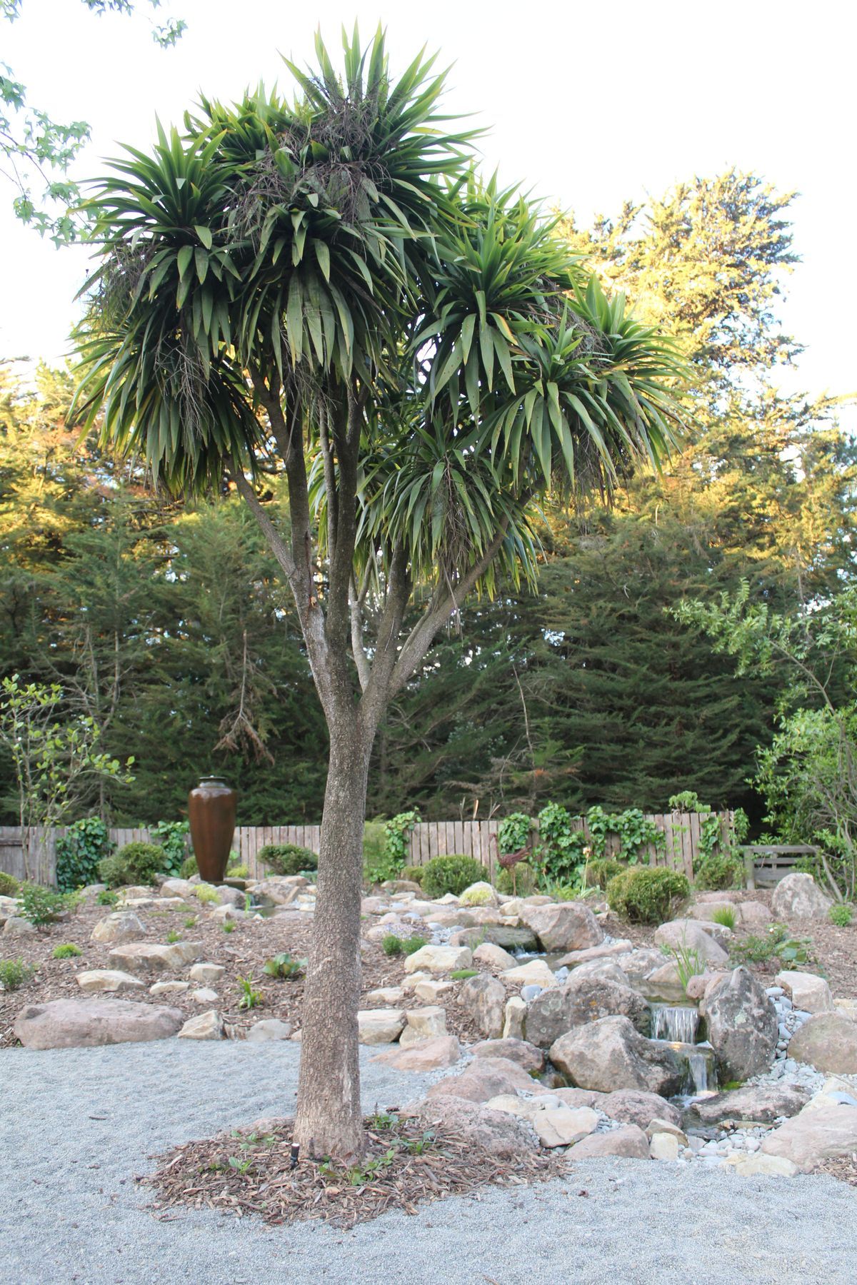IMG0494.JPG