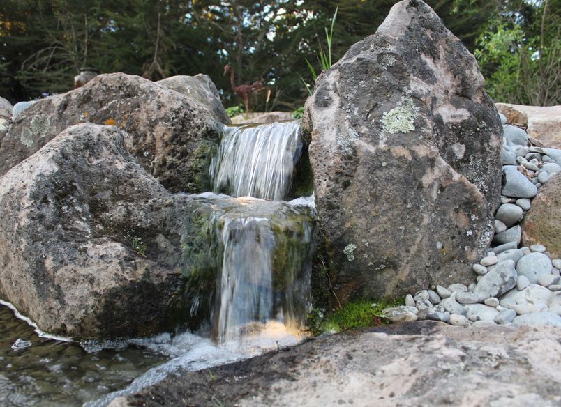 Pondless Paradise