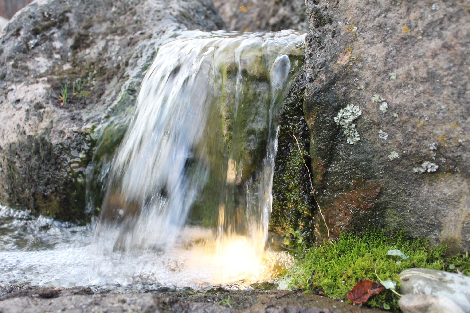 IMG0500.JPG
