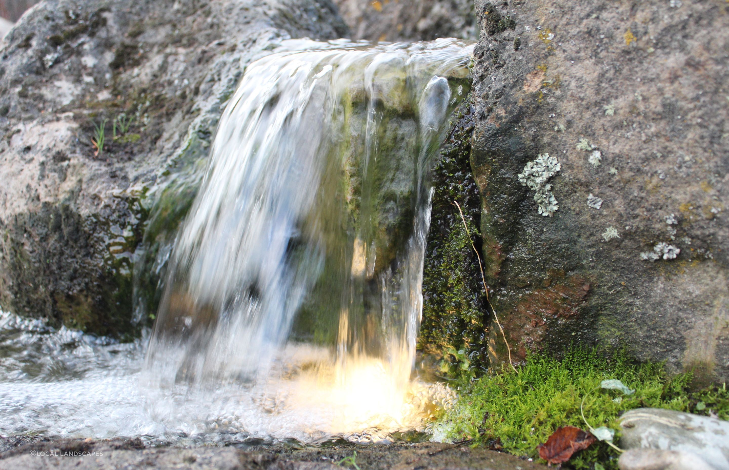 IMG0500.JPG
