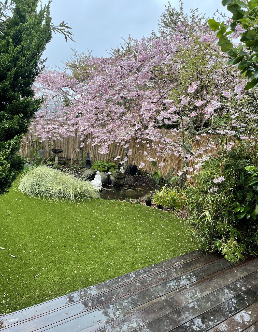 Urban Turf