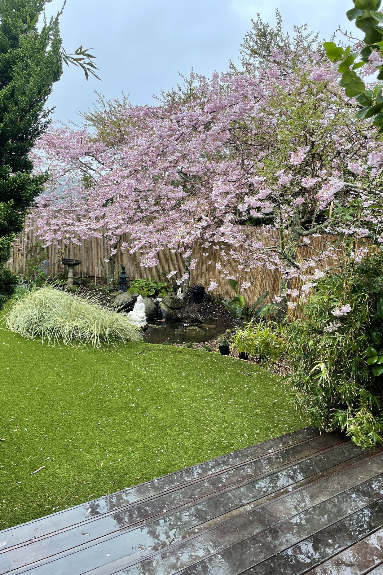 Urban Turf