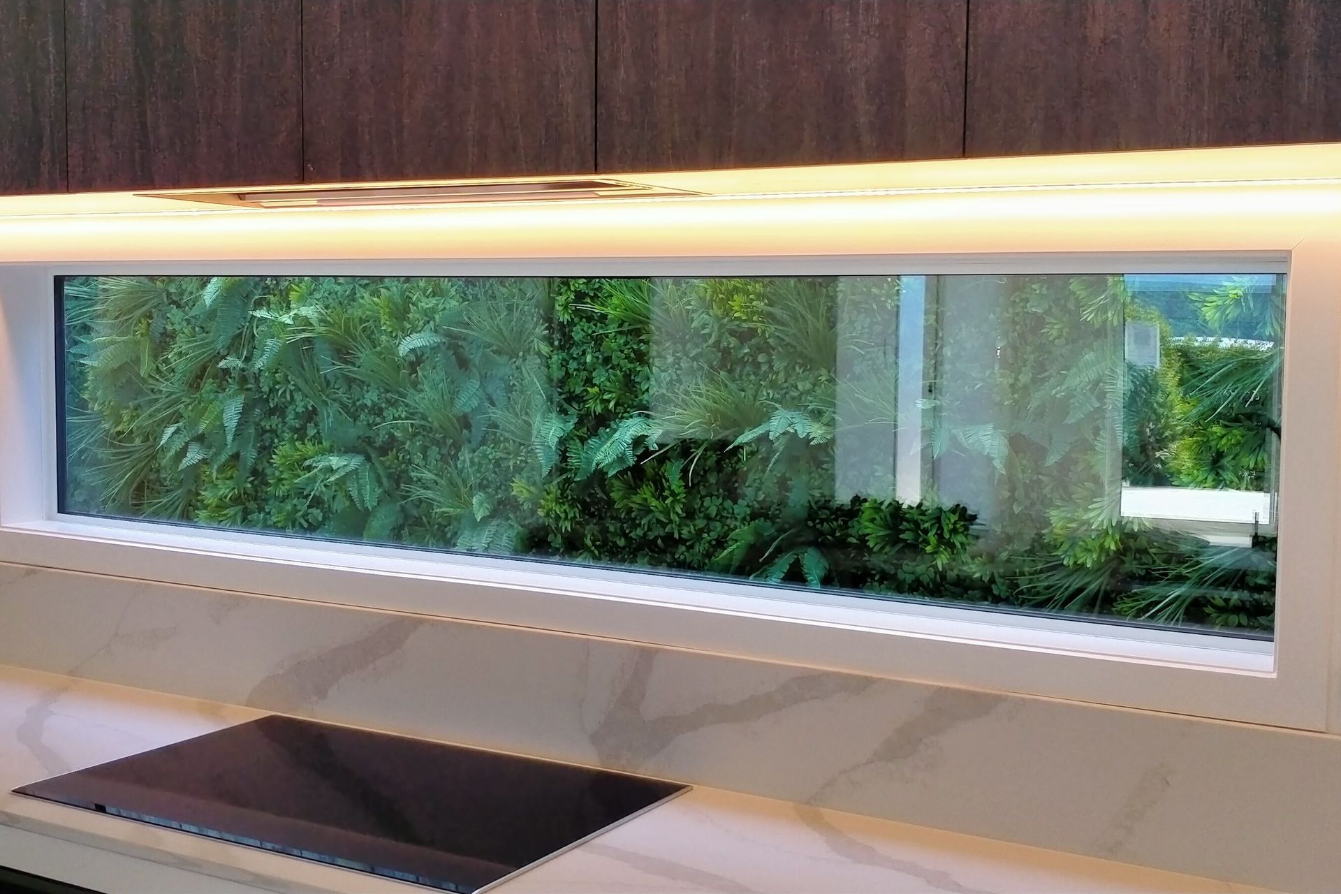 Vertical grandeur | Auckland