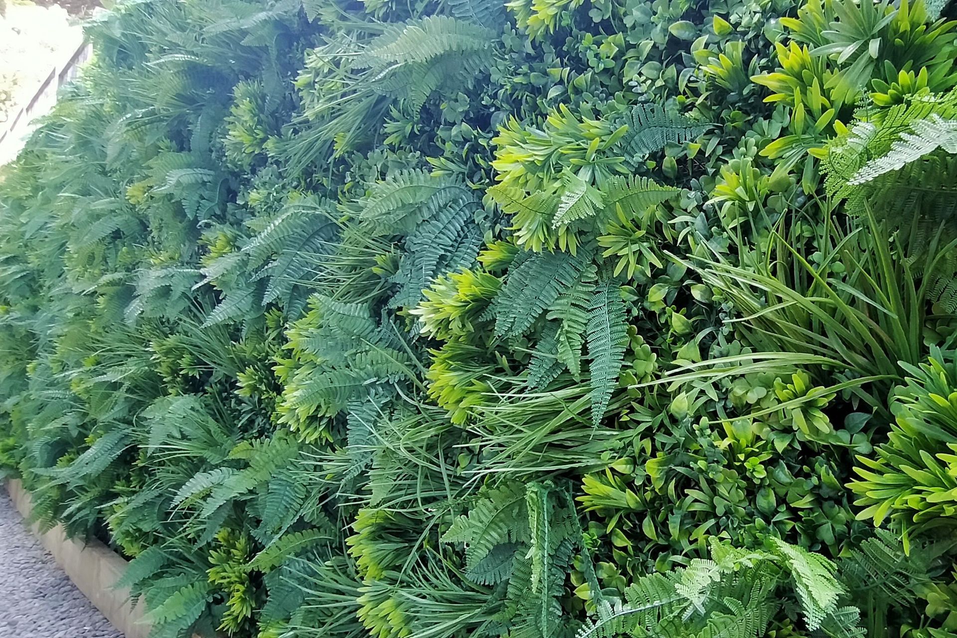 Vertical grandeur | Auckland