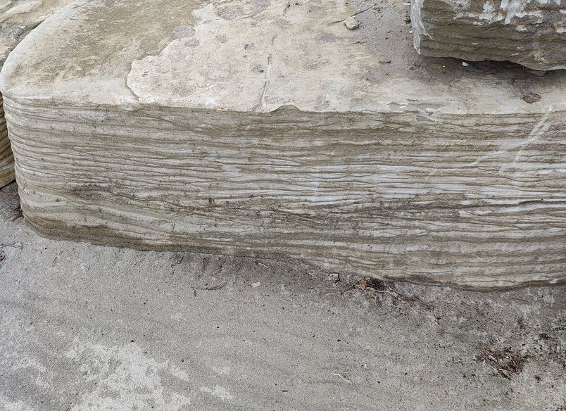 Foreshore Remediation