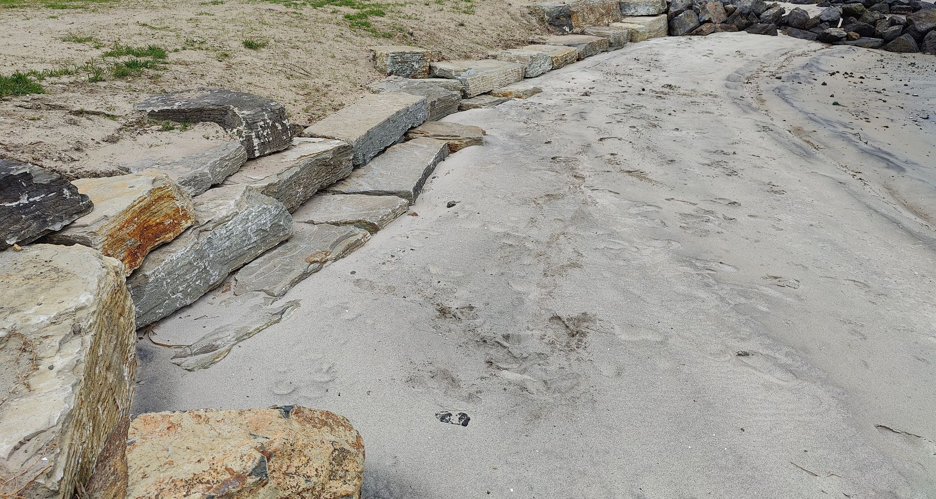 Foreshore Remediation banner