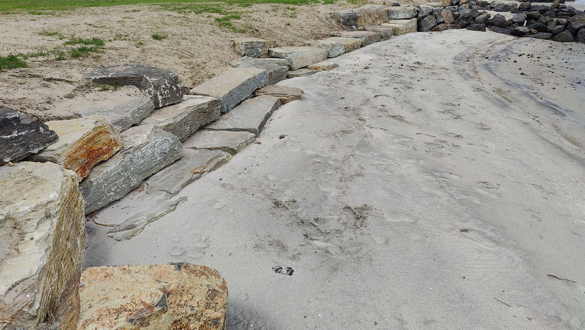 Foreshore Remediation banner