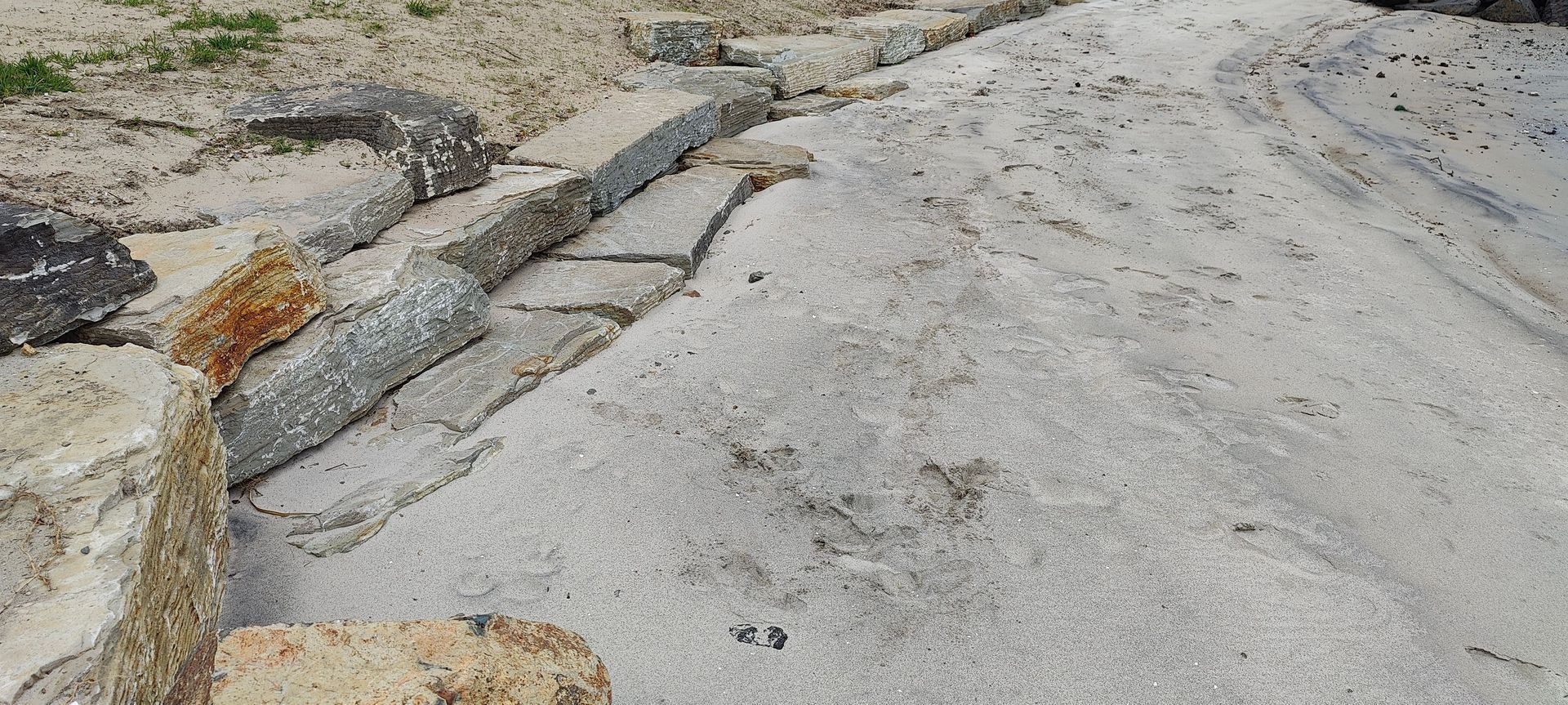 Foreshore Remediation banner