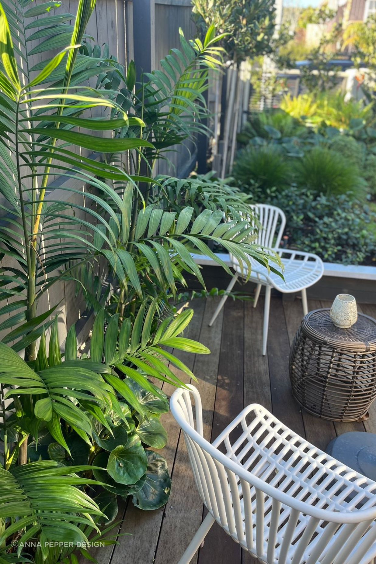 City Sanctuary