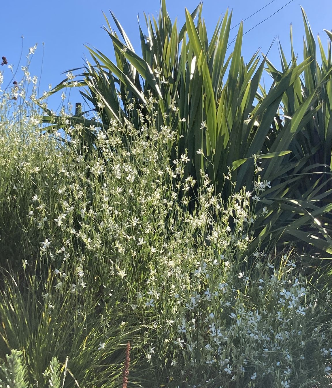 Worsley Spur Garden