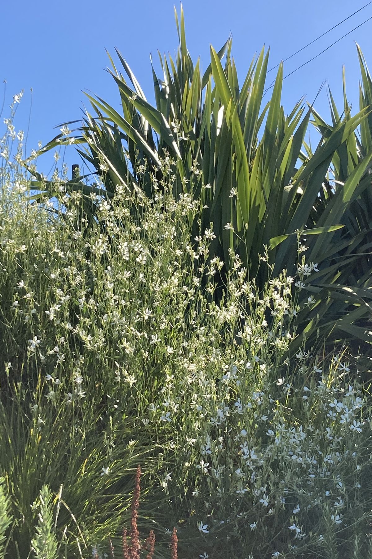 Worsley Spur Garden