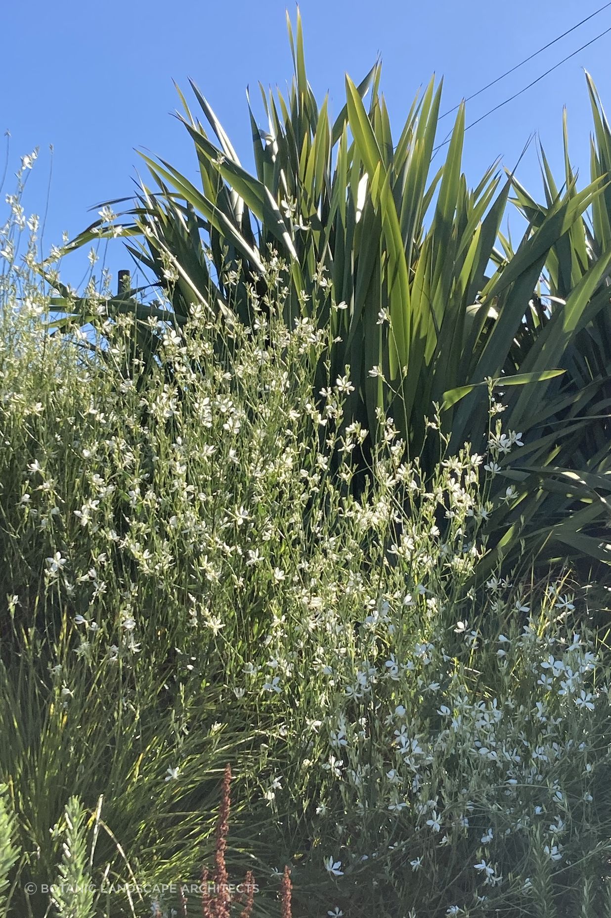 Worsley Spur Garden