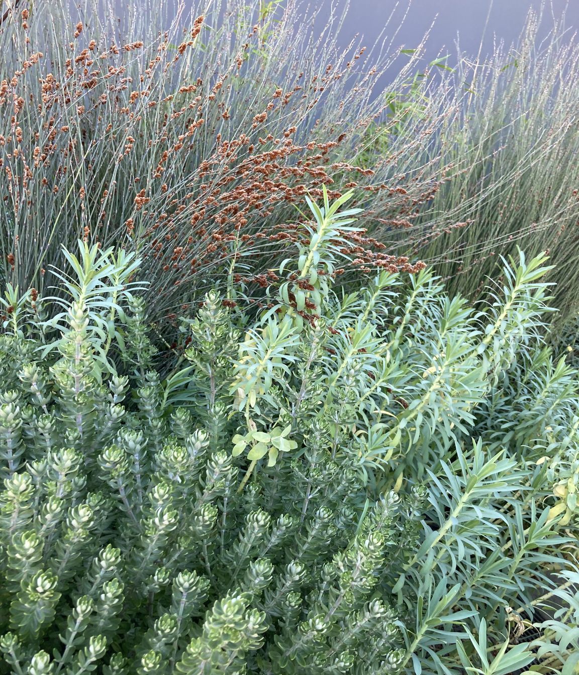 Worsley Spur Garden